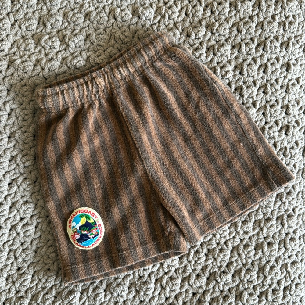 Zara Shorts